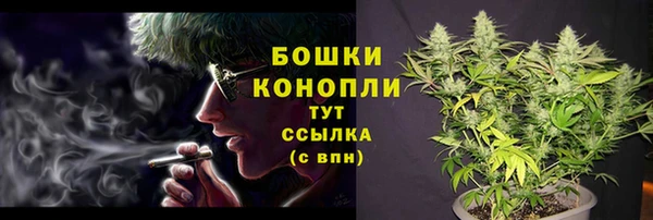 меф Заводоуковск